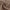 Light brown blackout fabric swatch, draped close-up to show the tight weave and smooth texture.