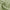 Close-up of a light green blackout fabric swatch, folded to reveal its soft texture and subtle diagonal weave.