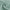 Close-up of a gathered mint green blackout fabric swatch, highlighting its smooth yet finely woven texture and soft folds.