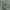 Close-up of a sage green blackout fabric swatch, showing its fine woven texture and soft folds.