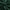 Dark green velvet fabric swirled to highlight its luxurious texture and soft sheen.