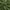Olive green velvet fabric swatch showing soft folds and its luxurious sheen