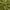 Textured close-up of rich green velvet fabric, showing its soft pile, luxurious sheen, and elegant drape in swirled folds.