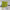 A lime green grommet room divider curtain creates privacy, separating a bedroom from a small sitting area.