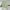 Light green room divider curtain with silver grommets separating a bedroom sleeping area from a small living space.