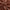 Close-up of brown velvet fabric swirled to highlight its soft texture and luxurious sheen, ideal for swatches.