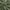 Close-up of olive green velvet fabric swirled to show its soft, plush texture and subtle sheen.