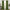 A pair of long, olive green velvet curtains hanging on a gold rod, framing a bright window in a decorated living room.