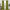 Full-length olive green velvet curtains hanging on a gold rod with rings, framing a window in a styled room.