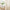 Light beige linen curtains with elegant tan floral embroidery filtering sunlight in a room.