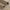 A close-up of a beige, folded fabric, revealing its silky soft texture, solid heavy feel, and a neatly trimmed edge.