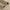 Beige curtain fabric with silky soft touch, heavy solid construction, and neatly trimmed edge.