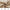 Light beige woven blackout fabric swatch showing subtle texture, suitable for privacy and decor.