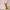 Orange cat playfully claws blush pink sheer curtains, demonstrating their tightly woven, scratch-resistant fabric.