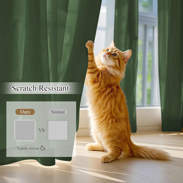 Tightly woven dark green scratch resistant curtains with an orange cat playfully pawing them.