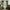 Deep green linen pinch pleat curtains hang on a bronze rod, softly filtering light in a living room.