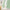 Airy light green sheer curtains gently blowing, filtering sunlight in a bright modern room.