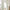 Light green textured linen-blend blackout curtains with white lining, hanging on a wooden rod.