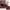 Close-up of a maroon linen blend window curtain with a rustic white plaid design.