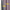 Textured mauve flax linen blend curtain front with visible opaque grey liner backing.