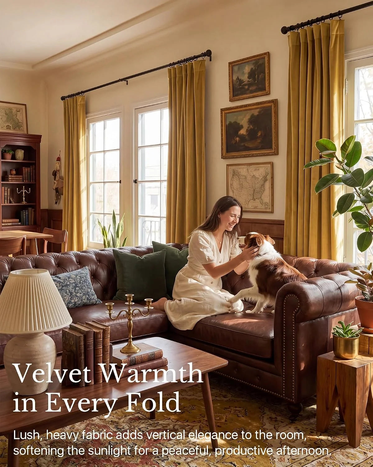 Mustard velvet curtains framing tall windows in a warm traditional living room