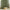 Olive green and beige plaid window curtains softly draped, resting on a woven pouf.