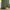 Textured olive green window curtain with subtle plaid pattern, draped beside a bright window.
