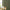 Olive green plaid woven window curtain with beige check pattern, hanging beside a window.