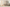 Promotion banner