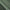 Detailed view of sage green fabric, illustrating the slight texture of the front and the smoother, darker insulated back.
