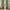 Sage green plaid curtains with cream check pattern and rod pocket top, hung on wooden rod.