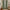 Sage green window curtains with fine plaid pattern and gathered rod pocket top, hanging in a bright interior.