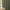 Textured sage green plaid window curtain with light dashed lines, gracefully pleated.