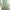 Sage green smooth fabric window curtains with soft folds, elegantly draped in a modern room setting.