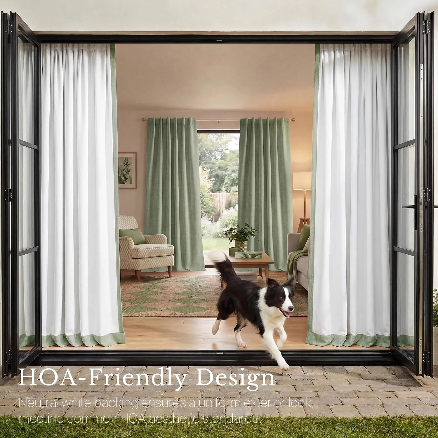 Sage green and white curtains on bifold doors with a running Border Collie dog.
