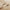 Close-up of a light tan fabric with neat, visible stitching along a folded hem, showcasing quality detail.