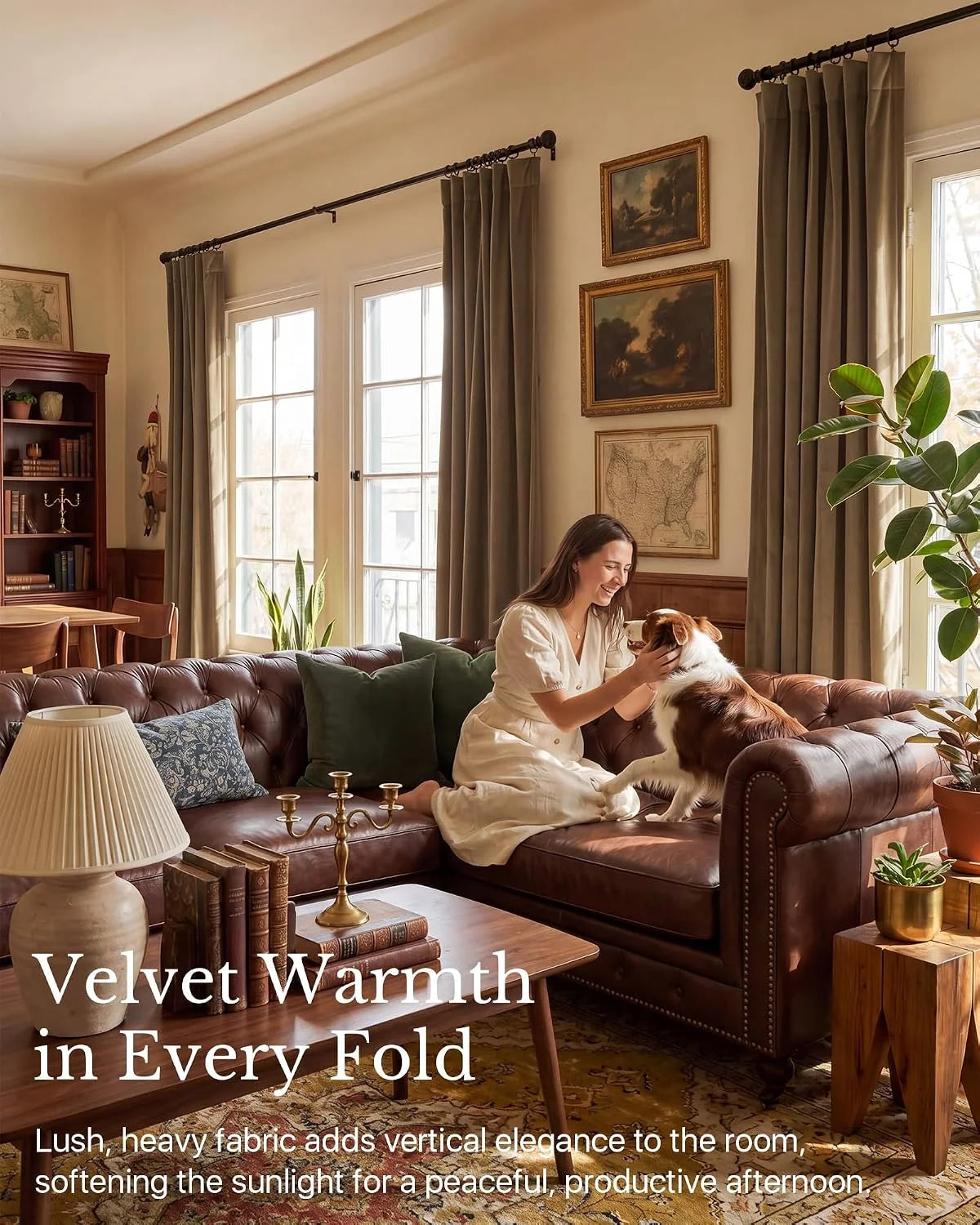 Taupe velvet curtains framing tall windows in a warm traditional living room