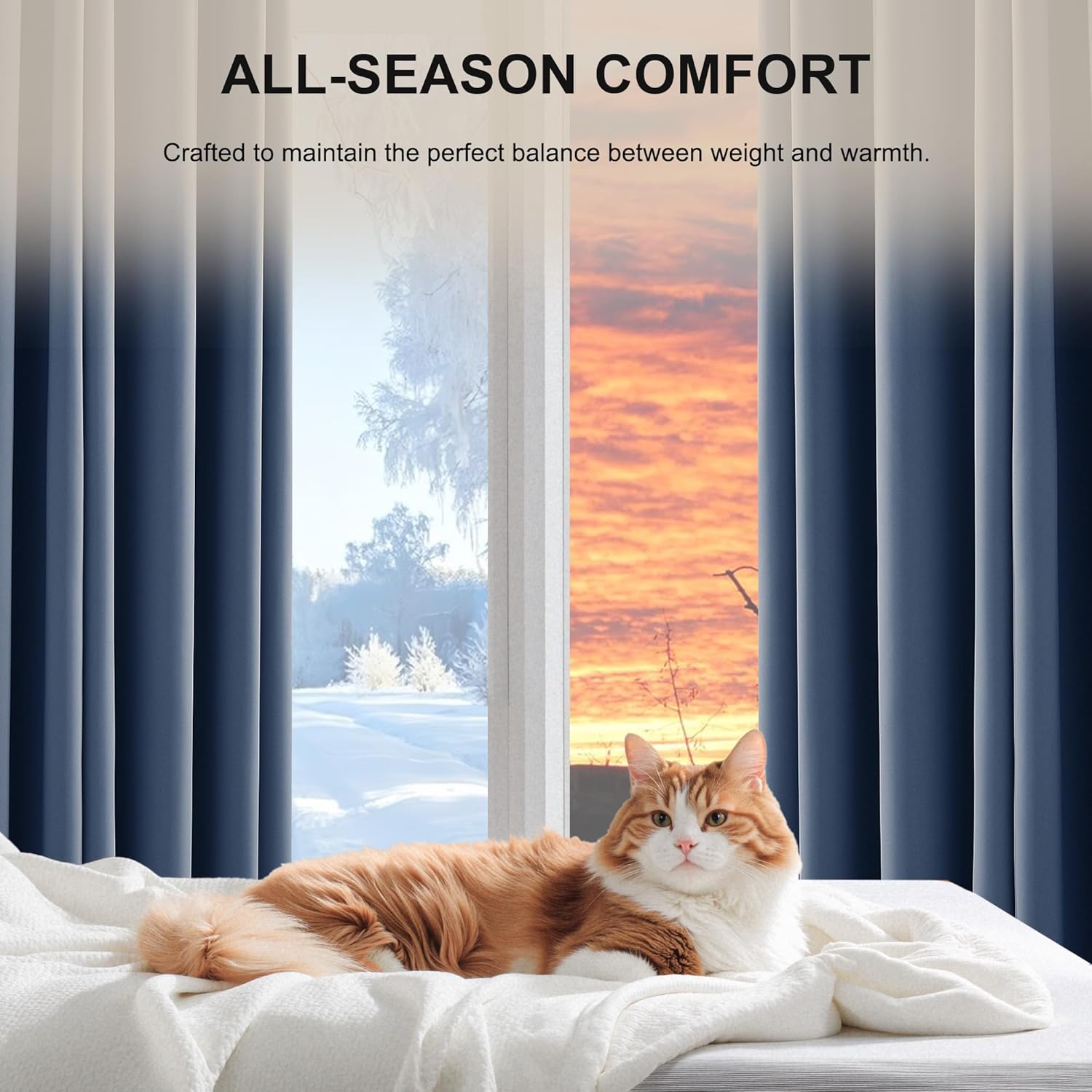 White to navy ombre thermal blackout curtains frame a window, a fluffy cat resting comfortably on a white bed.