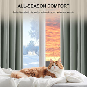 Fluffy cat rests on a white textured all-season blanket in a bedroom with gray curtains.